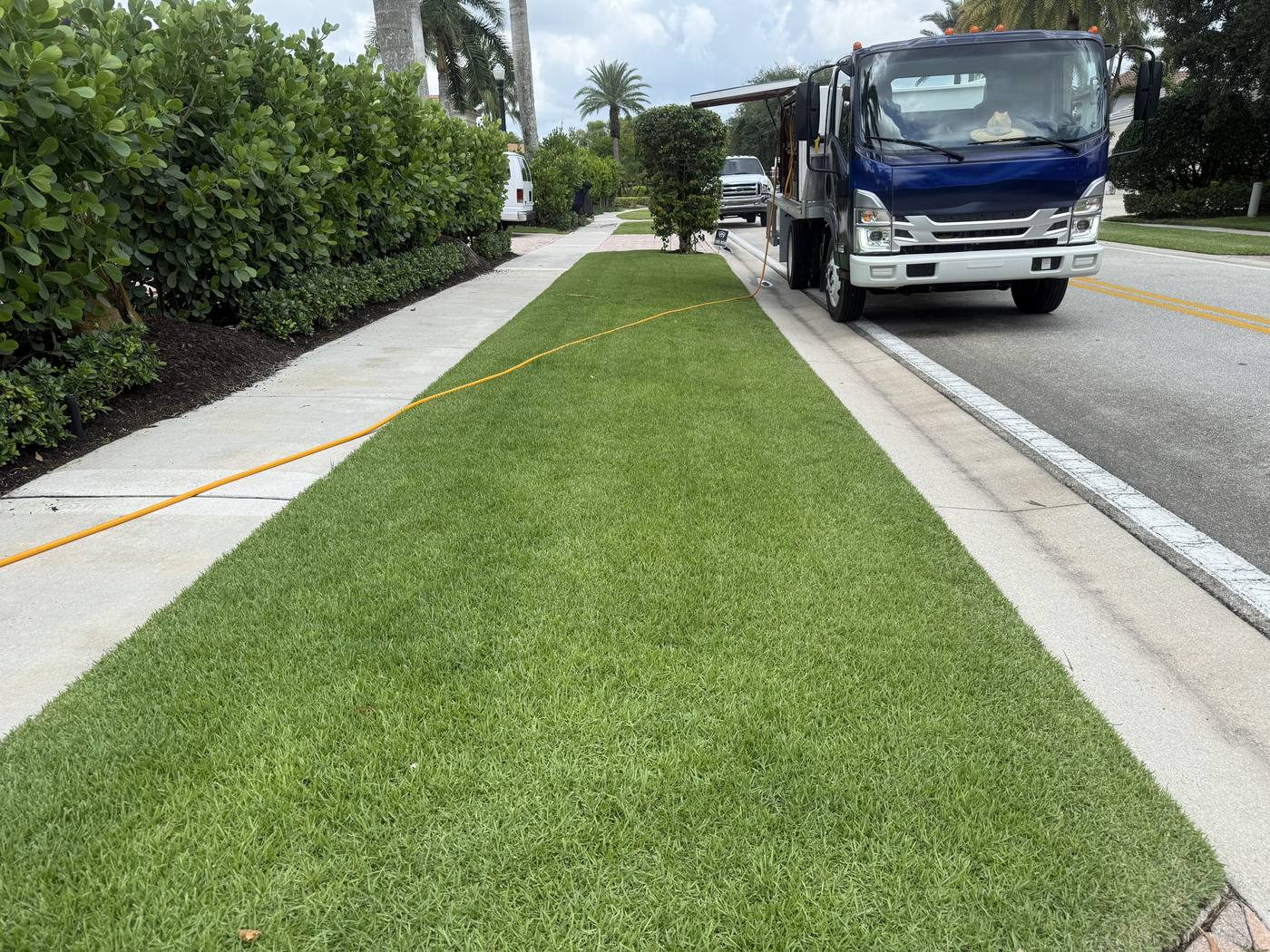 Freshly treated, deep green St. Augustine parkway strip with the Florida Turf and Pest truck at the curb